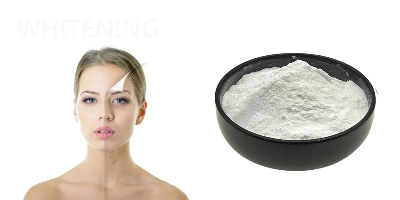 Stearyl Glycyrrhetinate Powder Introduction