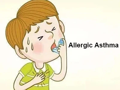 hedera helix extract  for allergic asthma